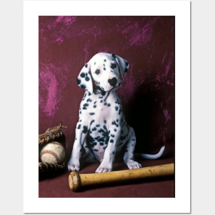 Dalmatian puppy with baseball Posters and Art